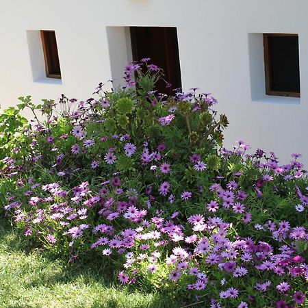 Agroturismo Can Fuster Сан-Джоан-де-Лабріджа Екстер'єр фото